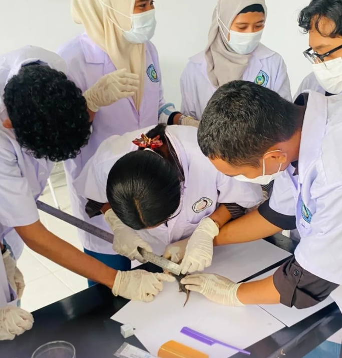 Praktikum Laboratorium T.A 2025/2026